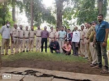 आंतरराज्य मांडूळ तस्करी करणारी टोळी नंदुरबार पोलिस, वनविभागाने पकडली   