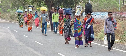 उमरगा : मुंबईहून कर्नाटकातील हुमनाबादकडे पायी निघालेले मजूर. 