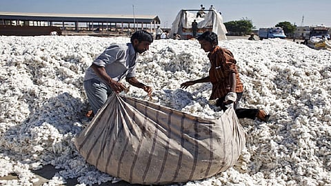 cotton which out of district are sold in deoli Wardha district 