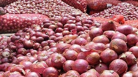 Onion latest marathi news