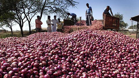 Onion-Price-India