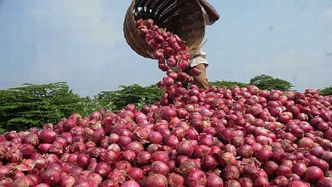 Onions.jpg