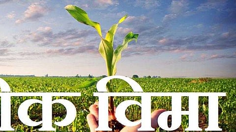 Farmers started taking insurance for rabi crop 