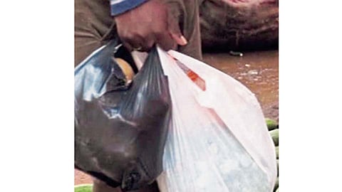 Plastic