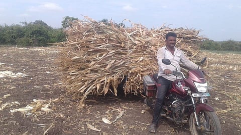 Pothare