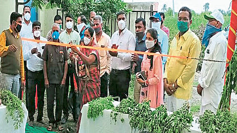 नैसर्गिक पद्धतीने उगवलेल्या रानभाज्या म्हणजे पावसाळ्यातली पर्वणीच : कांचनमाला निंबाळकर