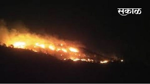 thanepada forest aria fire