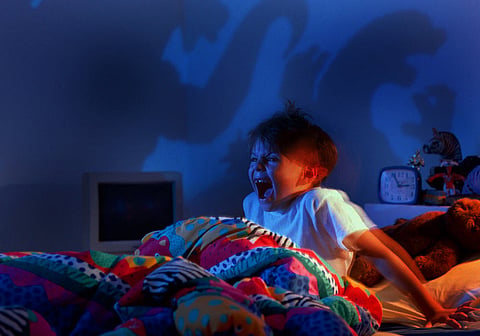 Sleep Dreams