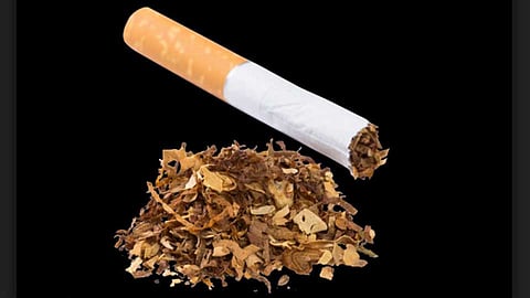 Tobacco Cigarette