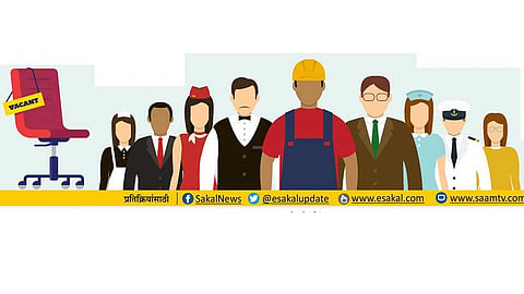 employment