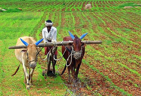 farming