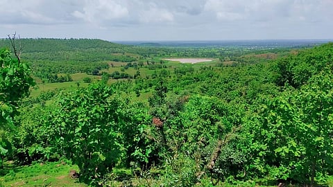 वालसावंगी : जाळीचा देव परिसरातील हिरवाईने नटलेला डोंगर. 