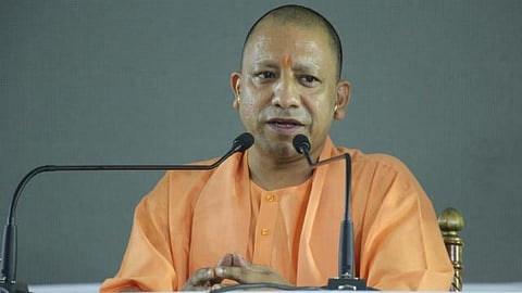 yogi
