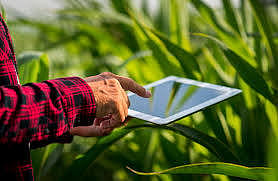 One hundred percent e-crop registration in Savargaon Tal village