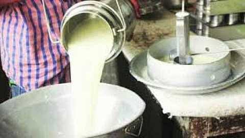 Most of the machinery of Parner taluka milk team has been stolen