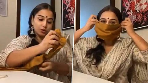vidya