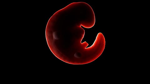 abortion