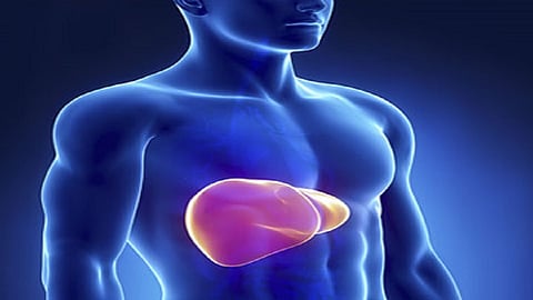 about-hepatitis.jpg