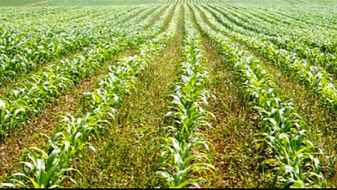 agri