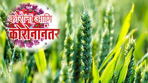 शेतमाल विपणनाच्या पारंपारीक पद्धती बदलण्याची हिच योग्य वेळ  