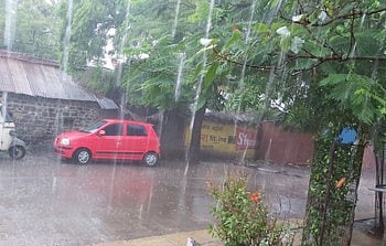 akkalkot paus.jpg