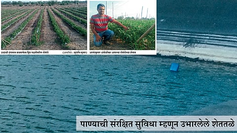 ‘सबसरफेस ड्रिप’ तंत्राने ऊस, टोमॅटोची शेती 