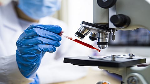 antibodies against corona virus