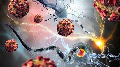 autoimmune 1.jpg