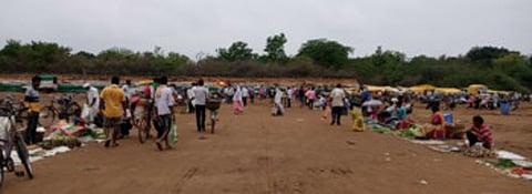 गडचिरोली : येथील जिल्हा प्रेक्षागार मैदानात भरलेला दैनंदिन बाजार.