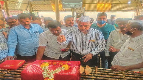Sangli receives 700 tons of new currants a day
