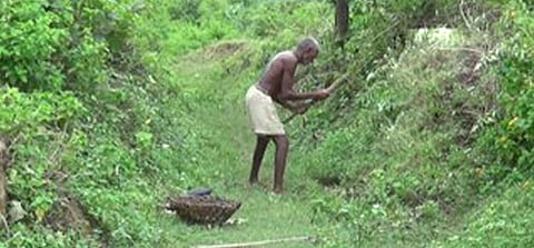bihar