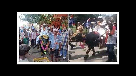 bihar election ravindra yadav alias kapil yadav went on buffalo for nomination