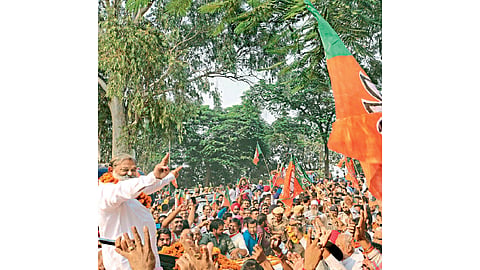 bjp-harayana-win