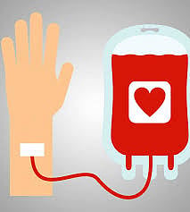 blood camp.jpg