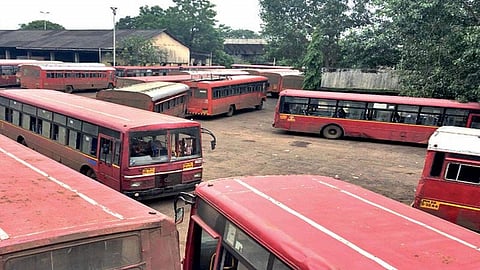  buses.jpg