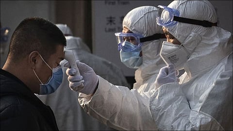 china report tick borne sfts virus and seven dead
