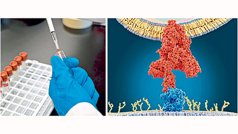 cholesterol test