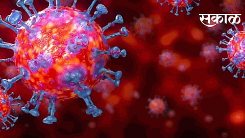 coronavirus : पिंपरी-चिंचवडमध्ये 113 नवीन रुग्ण
