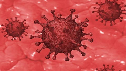 akola Pregnant women positive at Murtijapur; Fourteen quarantine
