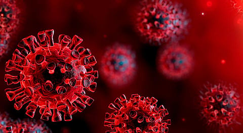 corona virus