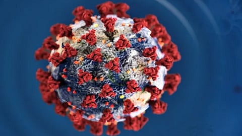 coronavirus baramati two more got positive covid19 total affected four