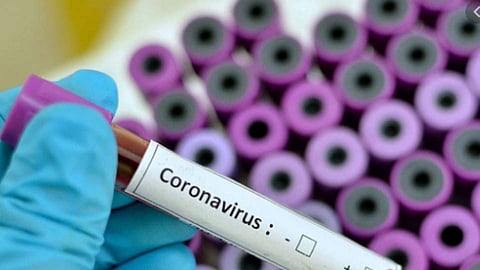 coronavirus these three states country became corona free in india