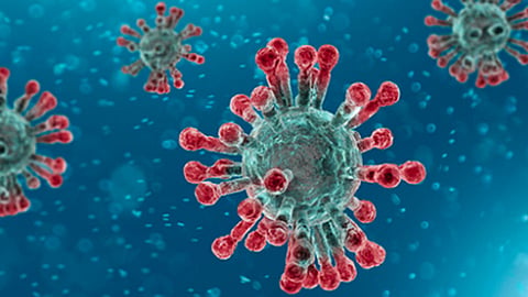 corona-virus