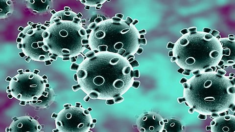 coronavirus-molecular.jpg