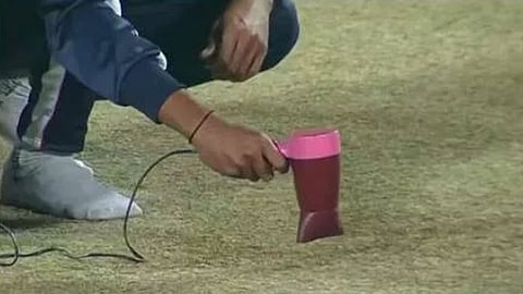 cricket