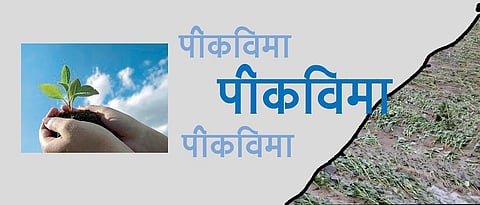  akola news Two lakh four thousand farmers took out crop insurance