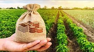 akola news Increase in crop loan amount !; Maximum increase of Rs. 16,000 for cotton