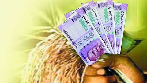 पीककर्ज परतफेडीबाबत सातारा जिल्हा बॅंकेने घेतला निर्णय