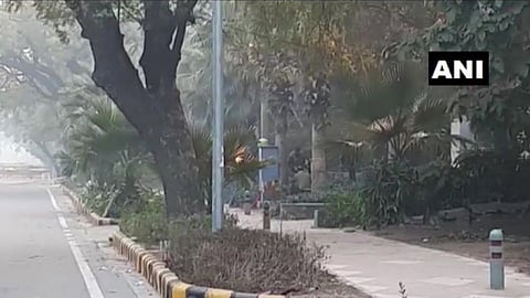 delhi.