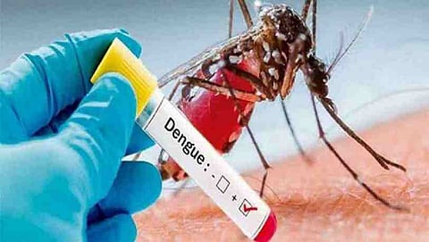 dengue 